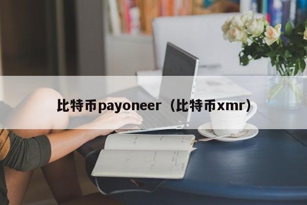 比特币payoneer(比特币xmr)