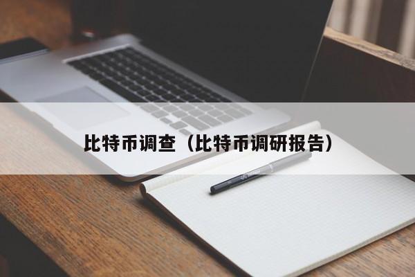 比特币调查(比特币调研报告)