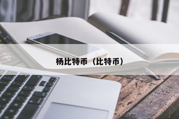 杨比特币(比特币)