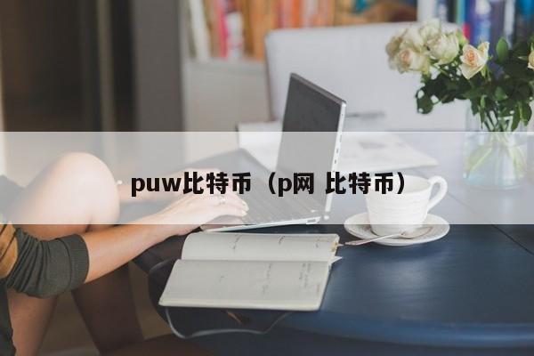 puw比特币(p网 比特币)
