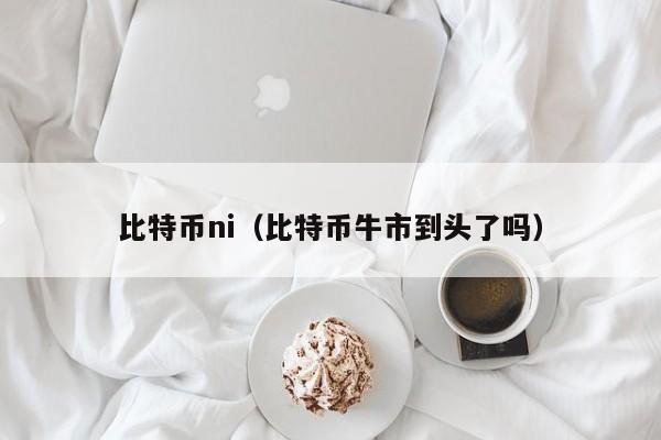 比特币ni(比特币牛市到头了吗)