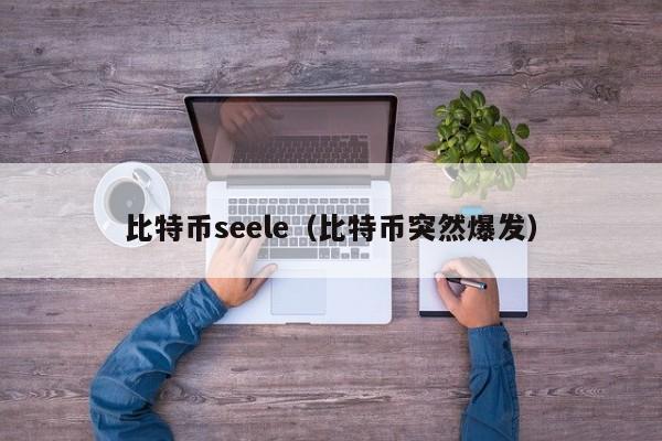 比特币seele(比特币突然爆发)